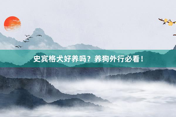 史宾格犬好养吗？养狗外行必看！