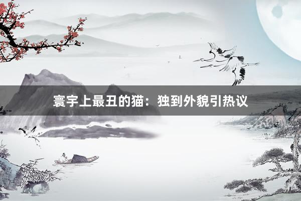 寰宇上最丑的猫：独到外貌引热议